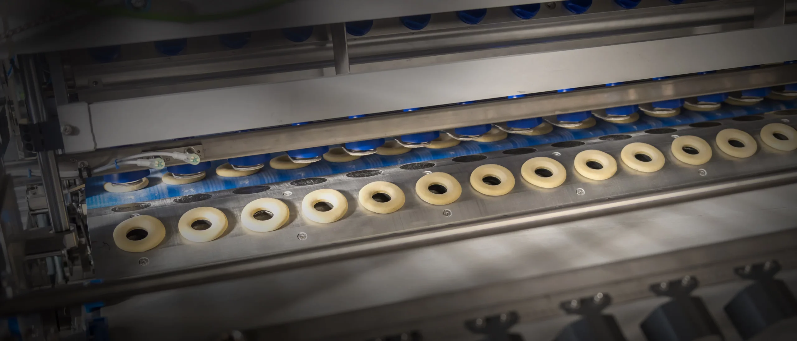 Donut Line EVOLUTION