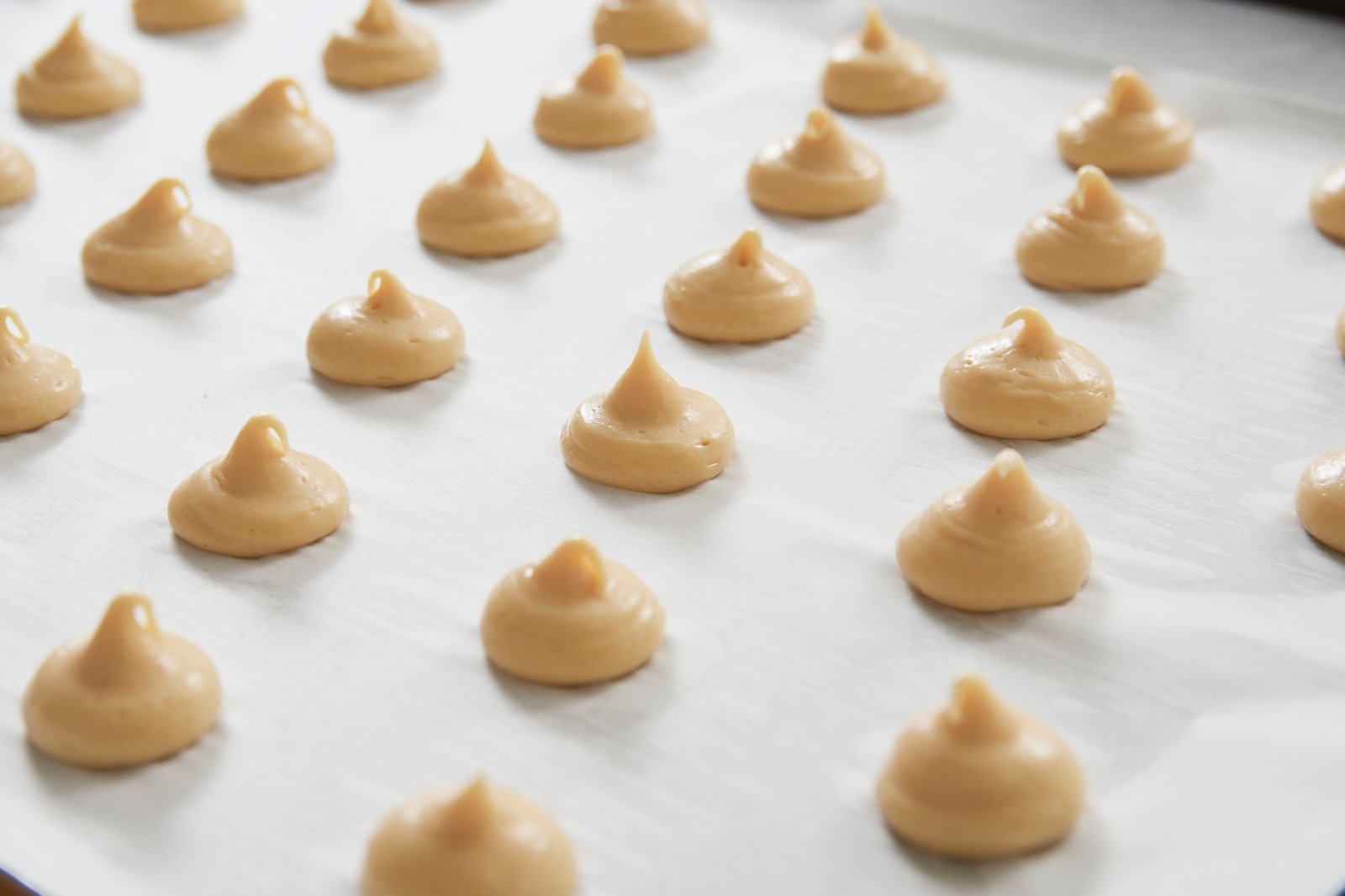 SATURNE EVO Planetary Mixer - Image 7