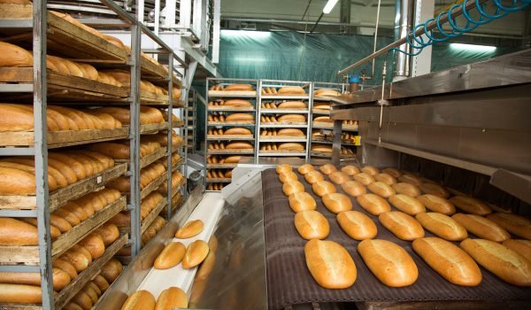 Fresh hot baked bread loafs on the production line