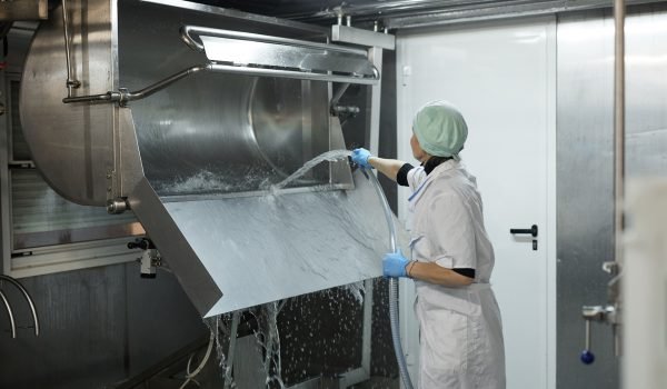 Portrait of female worker washing curdling machine in workshop at cheesemaking factory, copy space